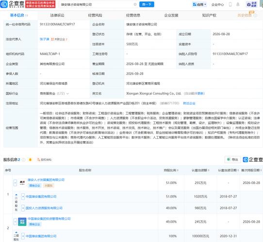 财务咨询 企业稳健发展的导航仪